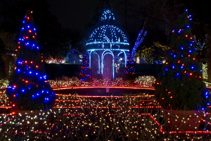 Festive Outdoor Setup