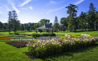 Landscaping Services